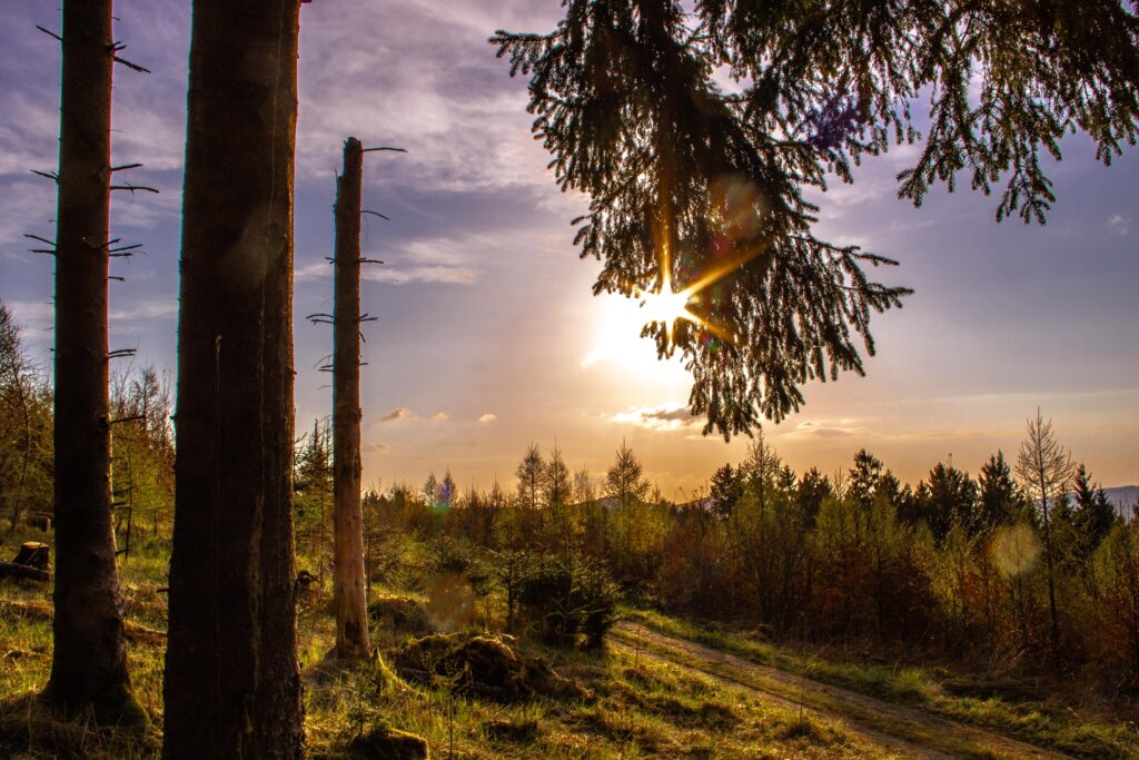 wandelen sauerland rothaarsteig